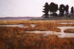 Quiet Marsh