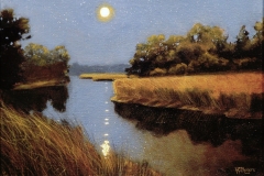 Reflection of the Moon