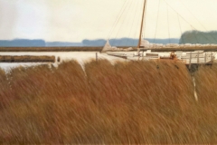 20151113_110444_resized-(2)