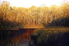 Bend of the River, 20x28