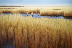 Marsh Horizon, 34x46