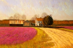 The Red Clover Field