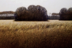 The Hummock, 30 x 40