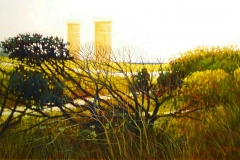 Towers at Gortons Pond