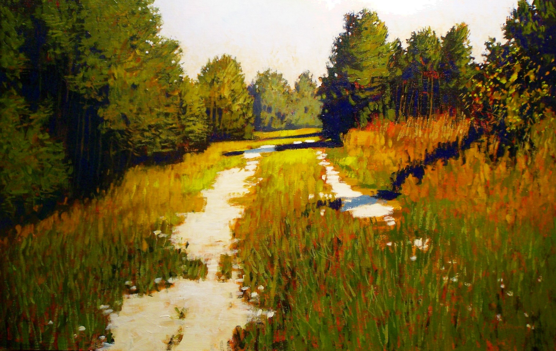 The Sand Road, 23x34,Acrylic